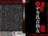 裏フル勃起デカ乳首熟女5 マニアが厳選した垂涎の20名