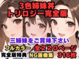 3色姉妹丼トリロジー完全版